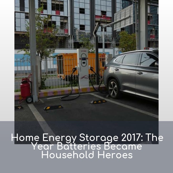 Home Energy Storage 2017: The Year Batteries Became Household Heroes